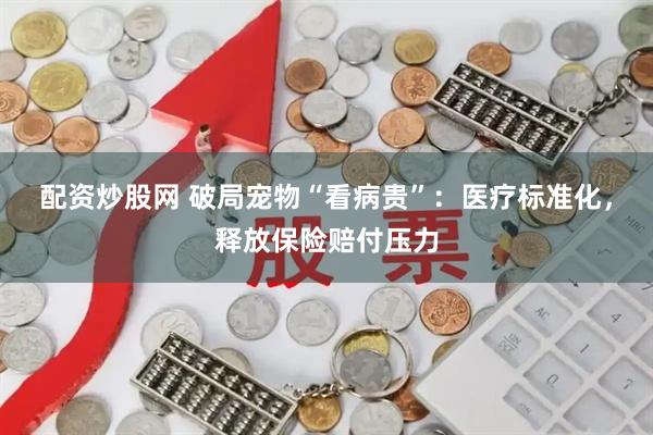 配资炒股网 破局宠物“看病贵”：医疗标准化，释放保险赔付压力