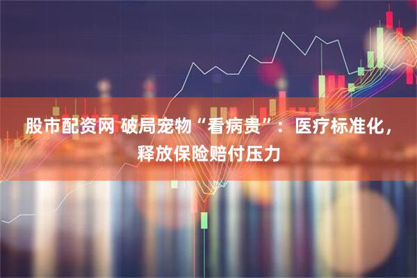 股市配资网 破局宠物“看病贵”：医疗标准化，释放保险赔付压力