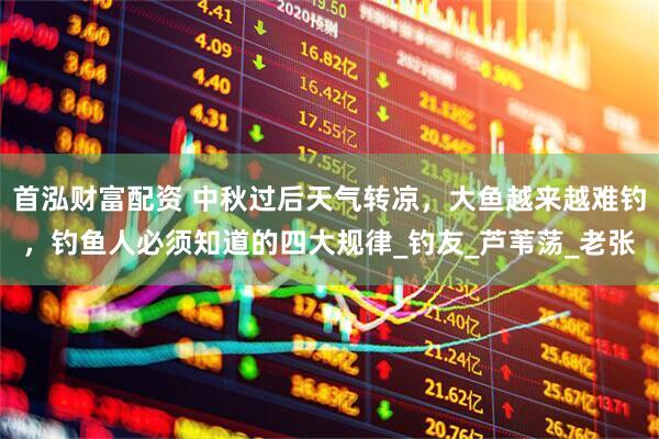 首泓财富配资 中秋过后天气转凉，大鱼越来越难钓，钓鱼人必须知道的四大规律_钓友_芦苇荡_老张