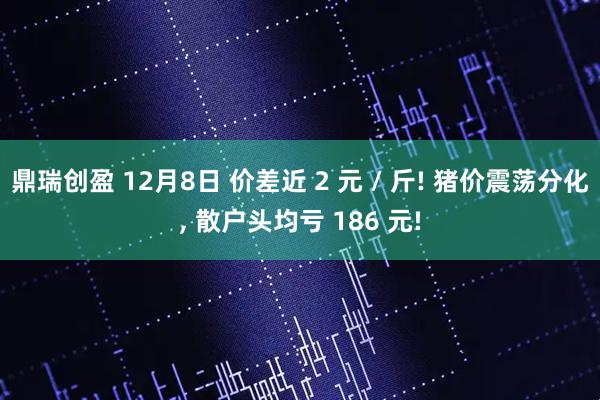 鼎瑞创盈 12月8日 价差近 2 元 / 斤! 猪价震荡分化, 散户头均亏 186 元!